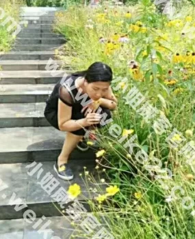 33岁凤楼少妇可以去去火